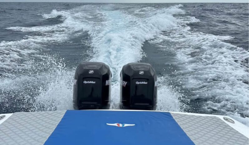 
								WELLCRAFT 26 PIES full									