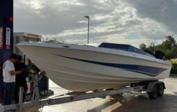 
										WELLCRAFT 26 PIES full									